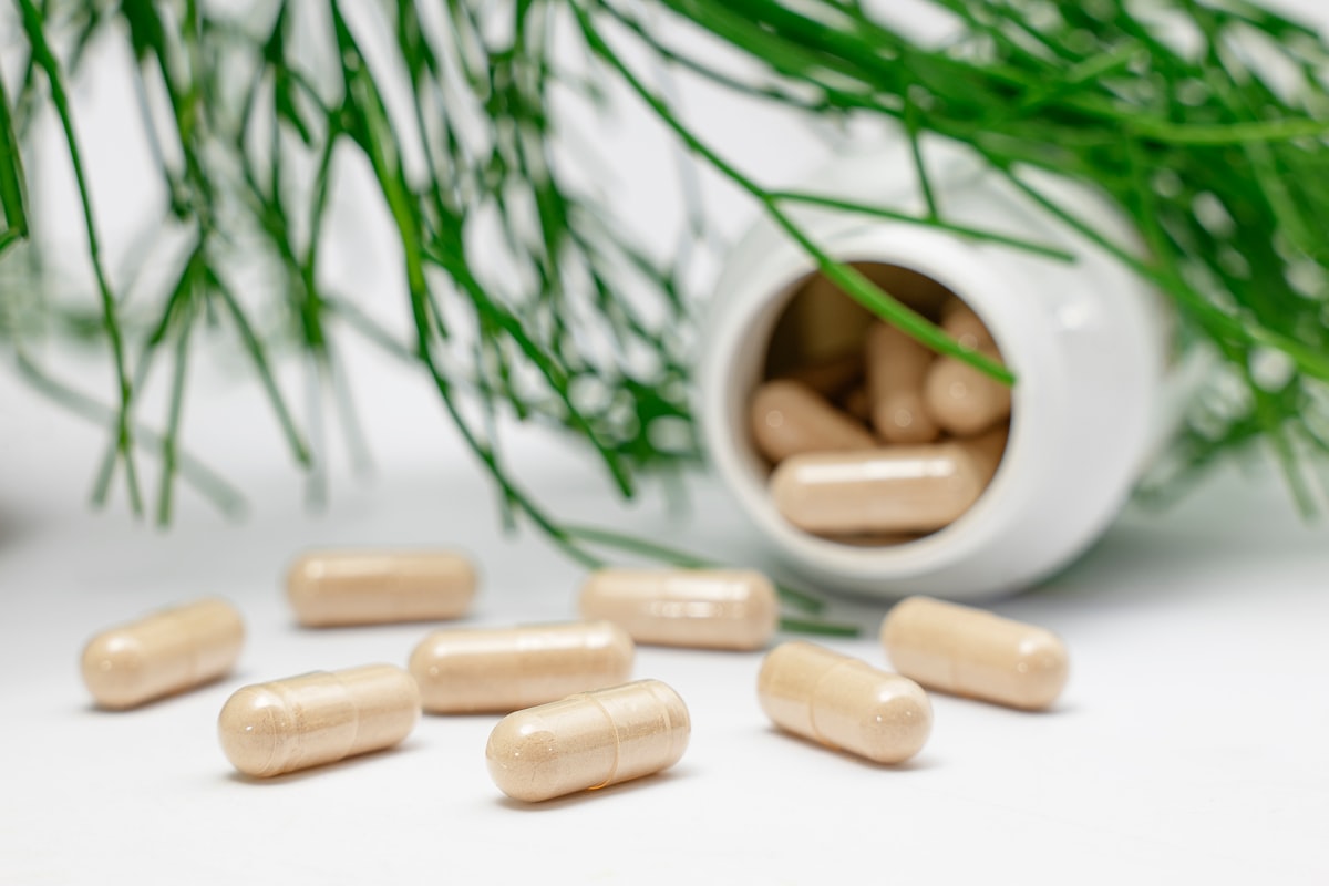Aliments combinés pour maximiser l'absorption nutritionnelle